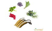 Viên uống bổ thận Vitatree Kidney Tonic