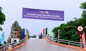 Ý tưởng tái chế sáng tạo từ những chiếc nắp chai bia