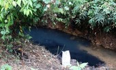 Triệu tập 2 người liên quan đến vụ đổ dầu gây ô nhiễm nước sông Đà
