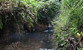 Mùi khủng khiếp ở đồi Mông, nơi xả thải xuống nhà máy nước sông Đà