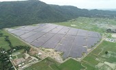 Sức sống 'Tân Châu Cảng' nơi biên giới An Giang