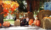 Choáng với “siêu bảo tàng” bí ngô của Vinpearl trong mùa Halloween