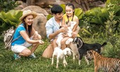Vinpearl Safari đăng cai tổ chức hội nghị bảo tồn và phúc trạng động vật lớn nhất Đông Nam Á