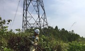 Chính phủ gỡ khó chậm giải phóng mặt bằng cho dự án 500 kV mạch 3