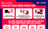 Lazada ra mắt dịch vụ cam kết giao hàng đúng hạn đầu tiên tại Đông Nam Á