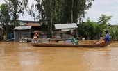Liên Hợp Quốc dự kiến tài trợ 40 triệu USD cho dự án Chuyển đổi ĐBSCL