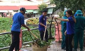 Ngày thứ bảy tình nguyện: Nhiều nơi bị ô nhiễm đã sạch đẹp