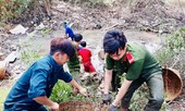 Sáng tạo để thu hút thanh niên tham gia tình nguyện