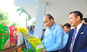 Thủ tướng Nguyễn Xuân Phúc: Xử lý nghiêm đối tượng lừa đảo xuất khẩu lao động