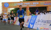 Tinh thần Việt dã