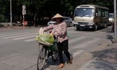 Nhọc nhằn mưu sinh dưới nắng nóng 40 độ