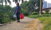 Dọn vườn hoa bằng… thuốc diệt cỏ?