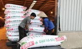 Doanh nghiệp kêu cứu vì phân bón giả