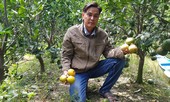 Nông dân khốn đốn vì doanh nghiệp xả thải