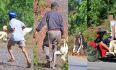 Tài xế lên tiếng vụ hàng trăm người dân 'hôi vịt' trị giá gần 200 triệu đồng