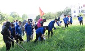 Thanh niên hành động chống rác thải nhựa