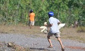 Chính quyền thông tin vụ “hôi vịt” sau tai nạn giao thông