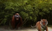 Liệu King Kong đã từng xuất hiện trên Trái Đất?