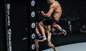 Martin Nguyễn khiến võ sĩ Mông Cổ nằm sàn bằng pha lên gối tuyệt đỉnh