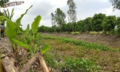 Người đàn ông sát hại hàng xóm, dìm thi thể dưới kênh