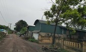 Siết nhà xưởng trái phép: Mất bò mới lo làm chuồng