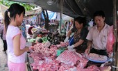 Giữa tâm dịch tả lợn châu Phi: Ồ ạt nhập khẩu thịt, gây khó ngành chăn nuôi