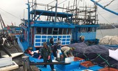 Siêu bão khan hiếm thuỷ sản khiến ngư dân khóc ròng