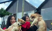 Cà phê thú cưng: Quen mà lạ trên xứ Bazan