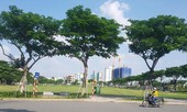 Đà Nẵng thua kiện doanh nghiệp vụ lô 'đất vàng': Tòa chưa nghiên cứu kỹ luật?