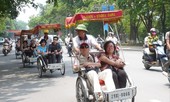 Hà Nội dừng cấp biển số cho xe xích lô