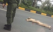 Cô gái nước ngoài nhảy cầu cạn nhà ga T2 Nội Bài