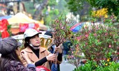 Hàng không, đường sắt cùng ‘bung’ vé Tết Canh Tý 2020