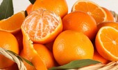 Rau củ rẻ bèo bán đầy ở Việt Nam, giải độc gan tốt không ngờ