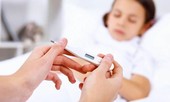 Cực kỳ nguy hiểm: Hà Nội ghi nhận ca viêm não Nhật Bản đầu tiên của năm 2019
