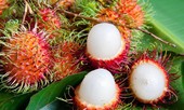 Chôm chôm chống ung thư, trị tiểu đường, huyết áp cao cực tốt
