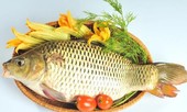 Mắc bệnh này ăn cá chép có thể chết người