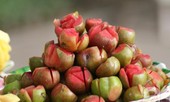 Những người mắc bệnh này tuyệt đối không ăn mận vì cực độc