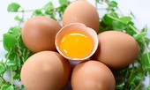 Thực phẩm tuyệt vời giảm đau nhức và cho xương chắc khỏe
