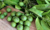 Những người đại kỵ tránh tuyệt đối không được ăn sấu