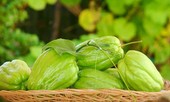 Ăn su su vừa bổ, vừa chữa nhiều bệnh mà nhiều người không biết