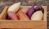 Không cần thuốc bổ, ăn khoai lang vừa tốt vừa chữa được nhiều bệnh nguy hiểm