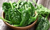 Rau mồng tơi chữa yếu sinh lý, đau xương khớp, tiểu đường