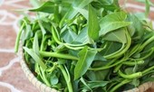Rau muống chống ung thư, chữa nhiều bệnh tốt như 'thần dược'