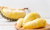 Không muốn rước đủ bệnh vào người thì đừng ăn sầu riêng cùng những món này