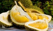 Những người đại kỵ với sầu riêng, thèm đến mấy cũng phải 'tránh cho xa'