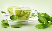Những đại kỵ khi uống trà xanh cần biết để khỏi mang họa