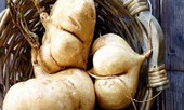 Củ đậu: Cực tốt và cực độc, biết mà tránh khi ăn kẻo rước họa vào thân