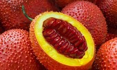 Chữa nhiều bệnh hiệu quả vô cùng chỉ nhờ quả gấc, đặc biệt là xương khớp