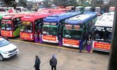 TT-Huế: 500 đầu xe ra quân phục vụ hành khách dịp Tết
