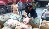 Thu giữ 1,5 tấn sụn gà “bẩn” trên xe khách chạy từ Lào về